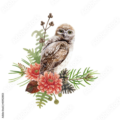 Owl bird floral watercolor illustration. Hand drawn wild nature bird element decor. Brown owl rustic decoration. Wild forest bird with autumn flowers, pine branch, cone, berries on white background