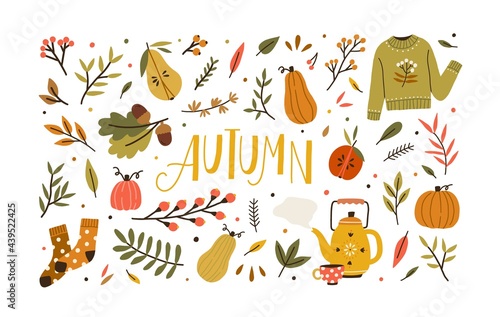 Autumn bundle of cute and cozy design elements. Set of fall twigs with leaves, foliage, berries, pumpkins, sweater, socks and tea cup. Colored flat vector illustration isolated on white background