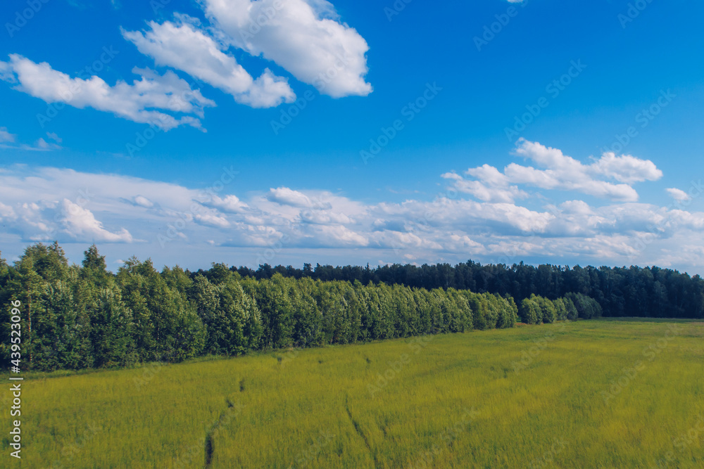 Path in the field grass. Meadow picturesque summer landscape with clouds on blue marvelous sky view background. Green grassland and forest countryside stock photo.