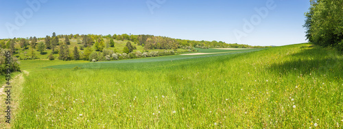Panoramic view of the calcareous grassland near the Fondry des chiens. Fondry comes from the French fonderie because iron ore from the sinkhole was melted.