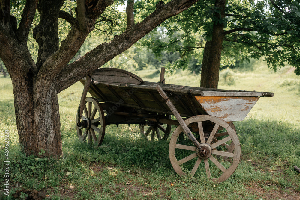 An old farm wagon cart drawn by horses in rural surrounding