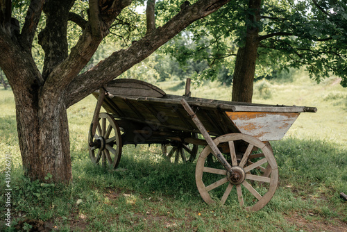 An old farm wagon cart drawn by horses in rural surrounding