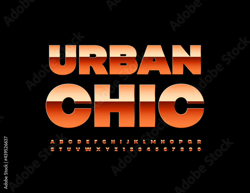 Vector glamour sign Urban Chic with metallic stylish Font. Bold Alphabet Letters and Numbers set