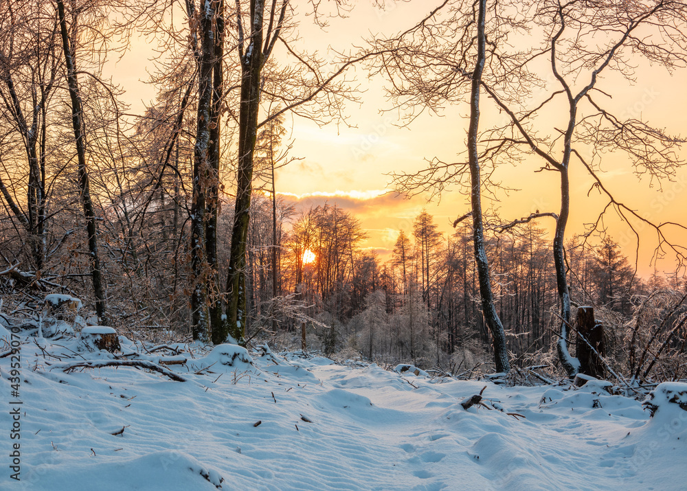 Winter landscape in Sauerland ,Germany Winter landscape in Sauerland ,Germany