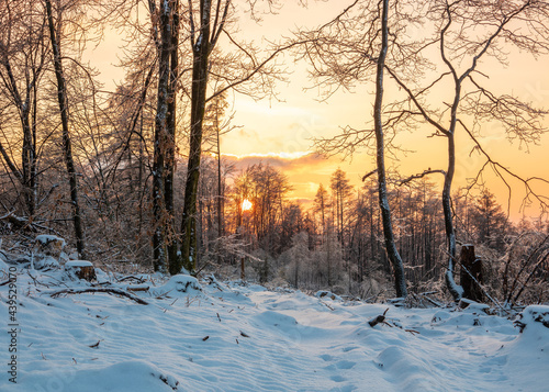 Winter landscape in Sauerland ,Germany © wlad074
