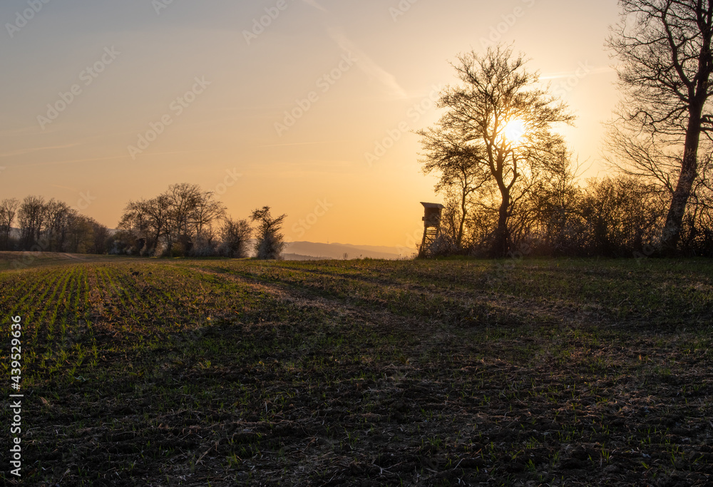 Country landscape in sunshine in Germany