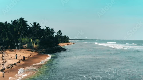 drone shot of exotic beach with trees and waves