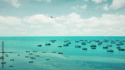 seagull flying over a scene of fishing boat on a blue sea