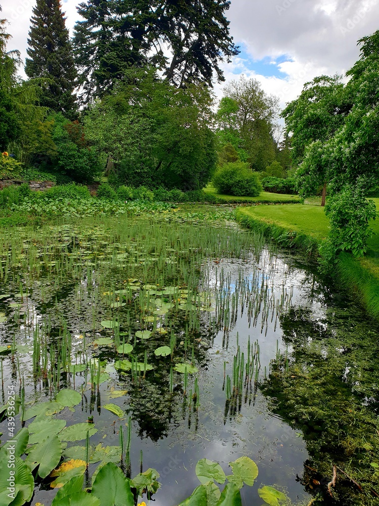 Fototapeta premium Wild lake view in nature . 