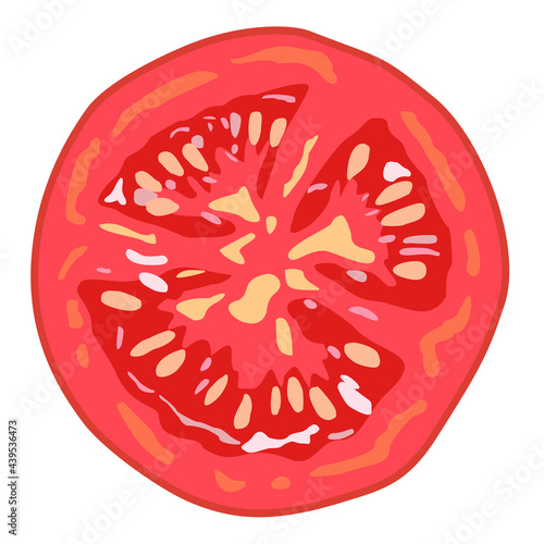 Vector isolated illustration of tomato slice.