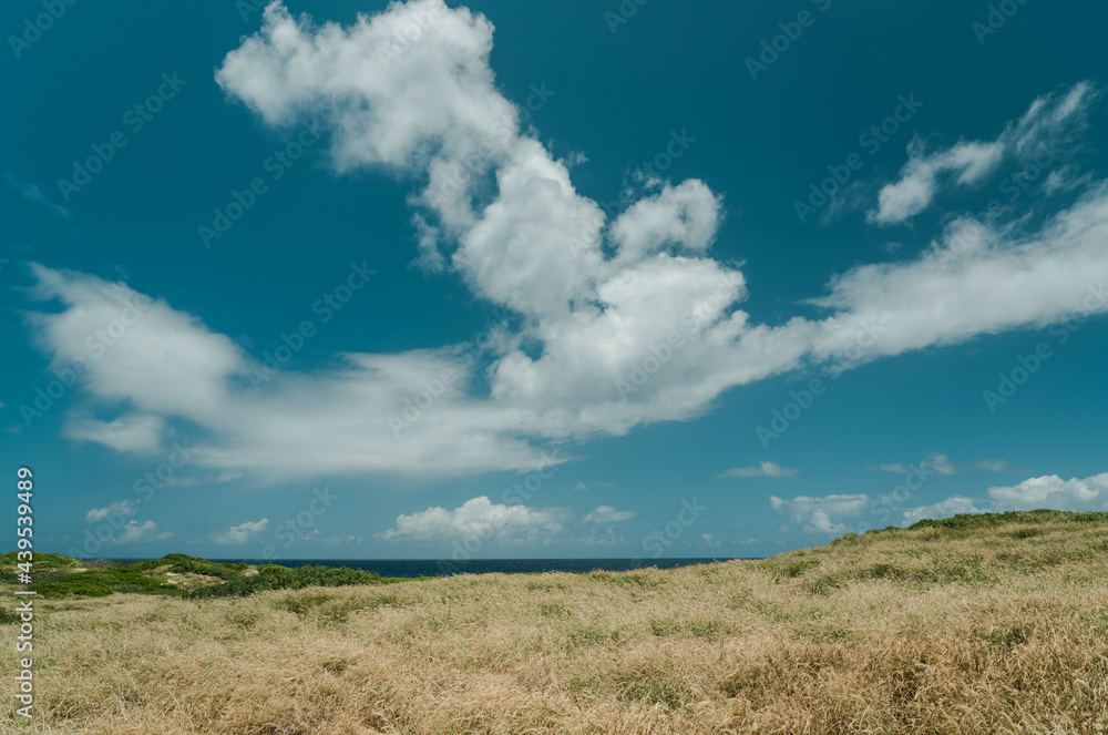 Fototapeta premium Kaena Point State Park, Oahu, Hawaii.
