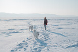 wintertime fun: young woman and her dogs