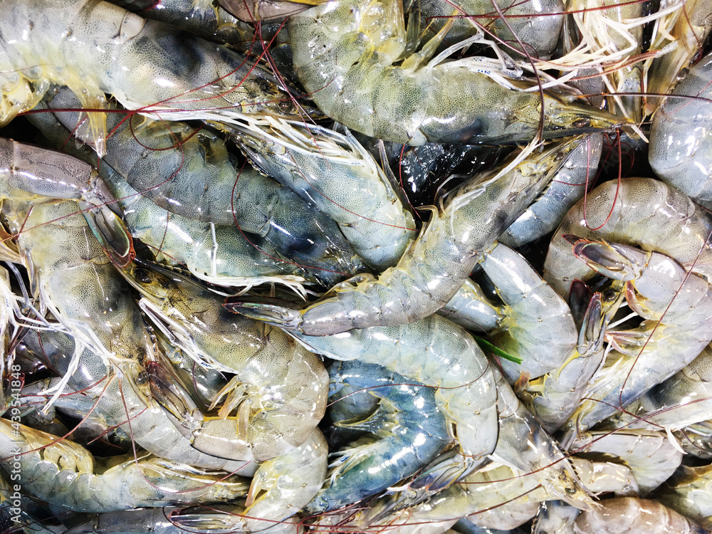 Fototapeta premium fresh shrimps prawns boiling king prawn blue leg shrimp a ton of shrimp seafood boiling into red skin prawn