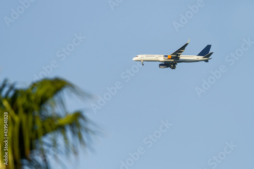 Passenger plane prepares to land in tropical country. Silhouette of flying aircraft and palm tree leaves on clear blue sky. Open boarders.