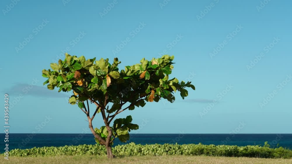 Keawaula Beach，Yokohama Bay， Kaena Point State Park，Oahu, Hawaii