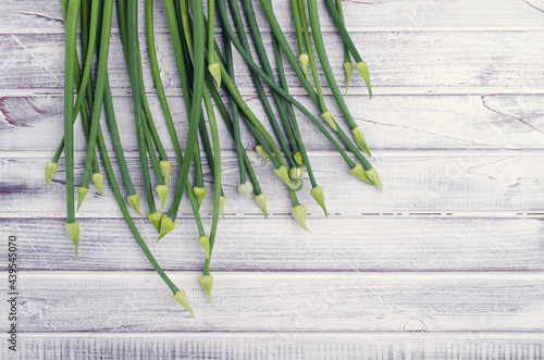 Stems green onion flowers