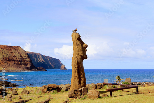 Moai A Vere Ki Haho also known as  Traveling Moai  at the entrance to Ahu Tongariki with a bird perching on statue s head  Easter Island  Chile