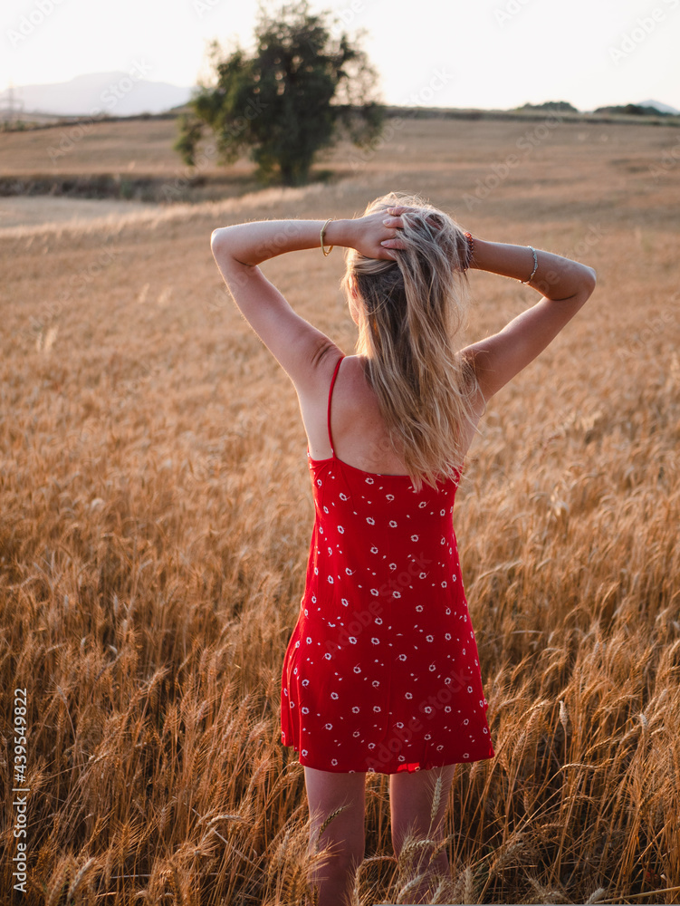 Blonde girl in red dress posing in a wheat field at sunset. Blonde girl in red dress posing in a wheat field at sunset.