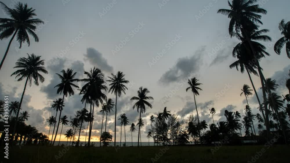 Timelaps of colorful with beautiful sky sunset at coconut field Timelaps of colorful with beautiful sky sunset at coconut field