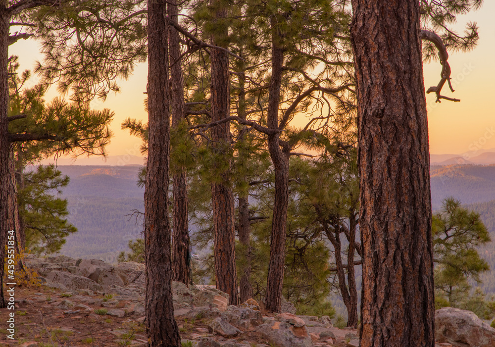 In Payson, Arizona this is known as the Mogollon Rim. The sun sets looking out over the rim, through the trees, the colorful sky paints the ledge and flowing hills, boulders and trees colorful shades In Payson, Arizona this is known as the Mogollon Rim. The sun sets looking out over the rim, through the trees, the colorful sky paints the ledge and flowing hills, boulders and trees colorful shades