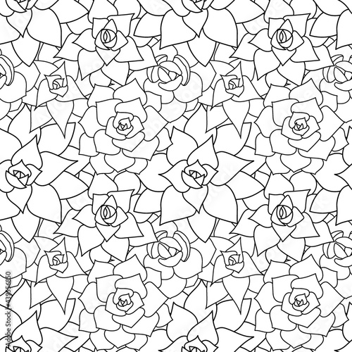 Succulent vector seamless pattern and background. Hand drawn desert flower illustration in doodle style. Silhouette succulents plants with black outline. For print and design