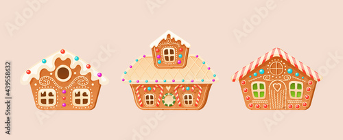 Collection different cute gingerbread christmas winter houses. Set of holiday candy cookies