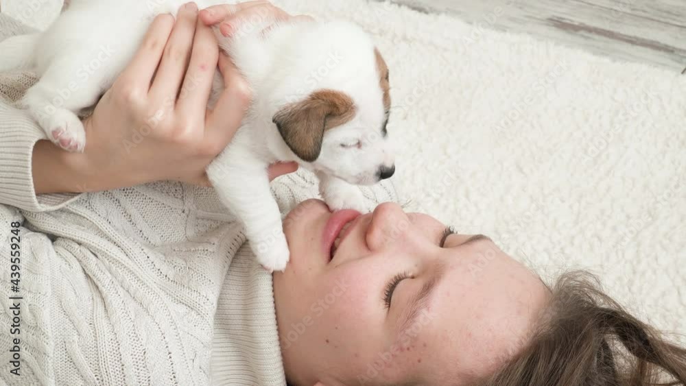 Girl petting and playing with a small puppy Girl petting and playing with a small puppy