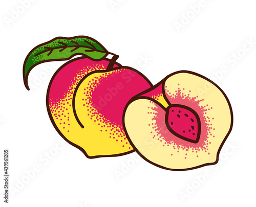Ripe peaches with a leaf and peach half isolated on white. Vector illustration engraving style.