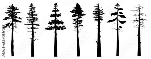 black color tree Symbol style and white background. Can be used for your work.