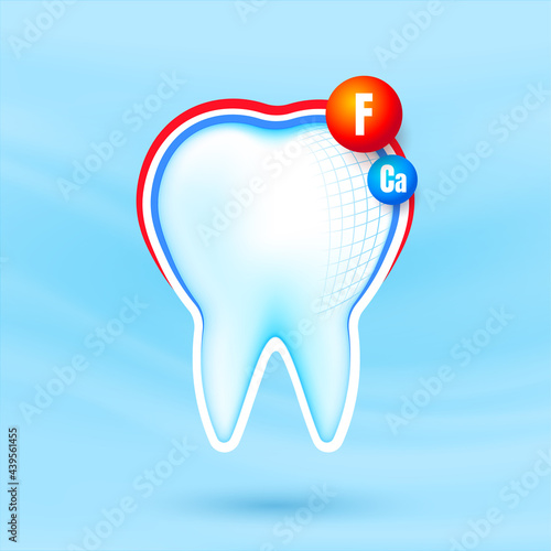 Healthy strong tooth with calcium and fluor sheild. White teeth being protected. Dental care.