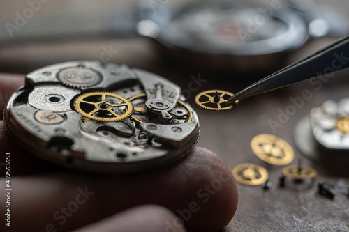 Watch repair process. Craftsman instaling new parts into wristwatch