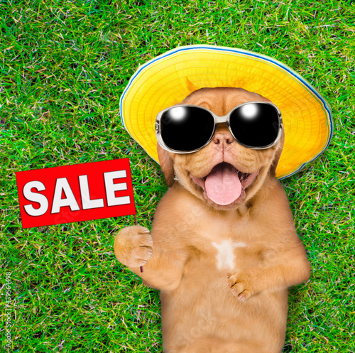 Happy mastiff puppy wearing summer hat and sunglasses lies on its back on summer green grass and shows sale symbol. Top down view © Ermolaev Alexandr