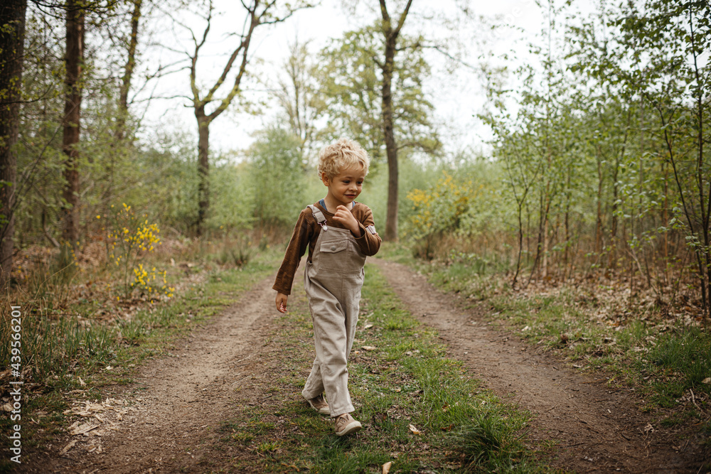 Toddler boy walking in the forest Toddler boy walking in the forest