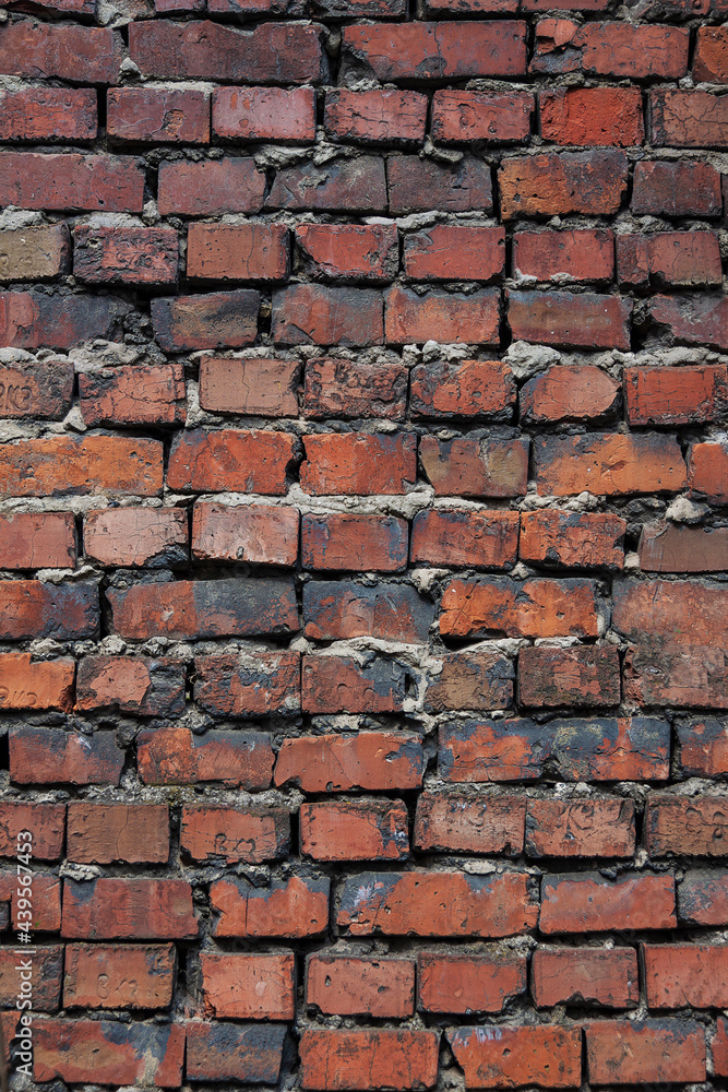 Fototapeta premium A grungy brick wall texture as background.