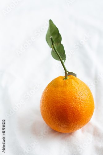 Orange with leaf photo