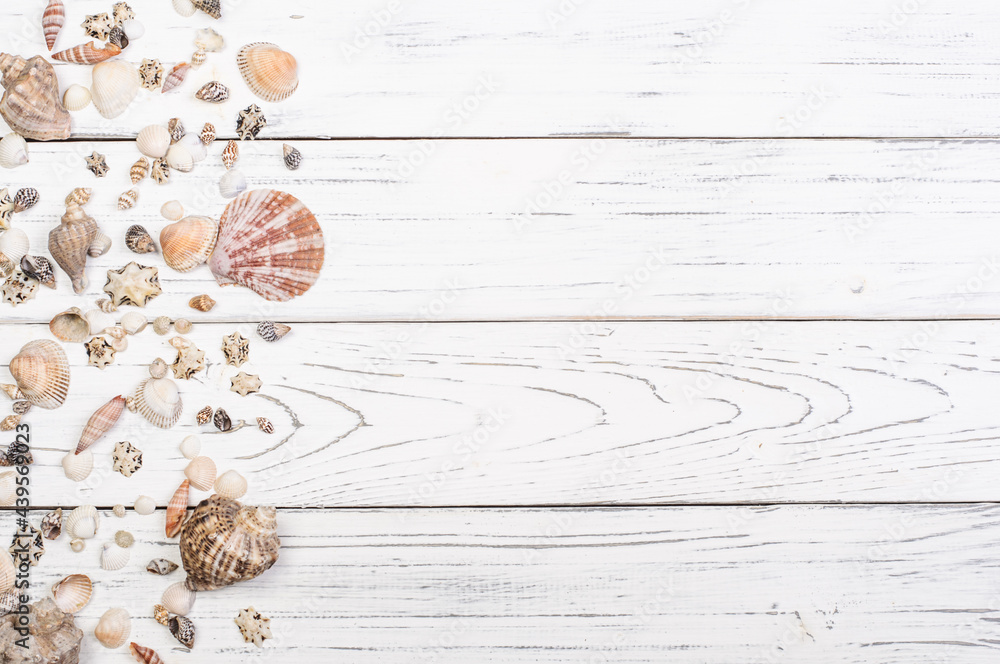 Seashells on white wood planks with copy space. Summer concept. Seashells on white wood planks with copy space. Summer concept.