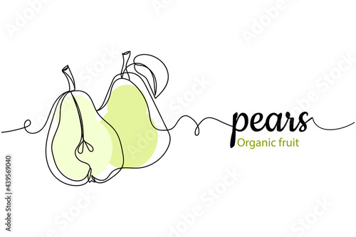 Continuous one line of pears in silhouette on a white background. Linear stylized.Minimalist. Organic fruit