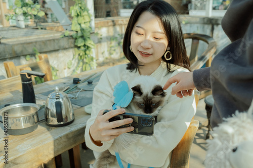 Asian female and ragdoll cat pet photo