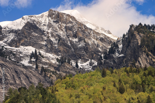 Zwei Jahreszeiten übereinander; Schneebedecktes Brienzer Rothorn, darunter zartgrüner Bergwald im Mai 2021
