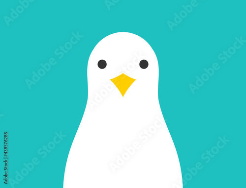 Seagull bird vector illustration.
