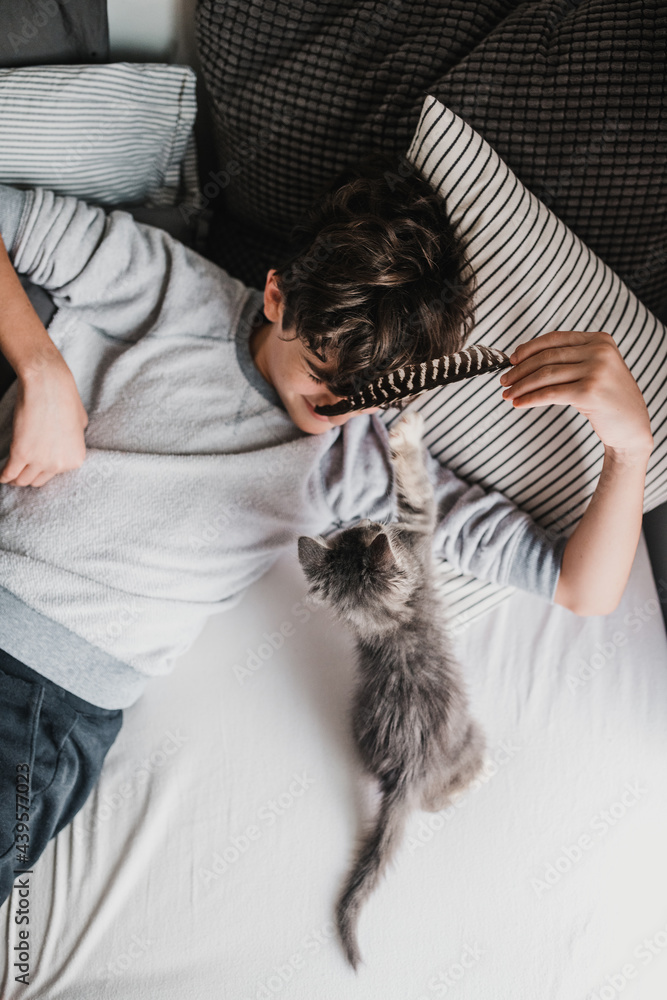 Boy and kitten Boy and kitten