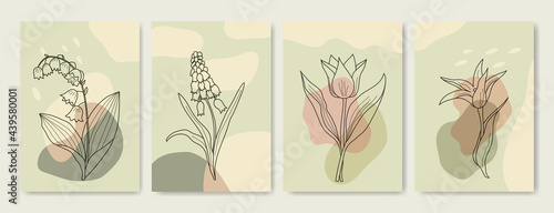 Botanical print boho minimalist printable wall art abstract home decor floral print bohemian art work, vector. Luxury cover design template.