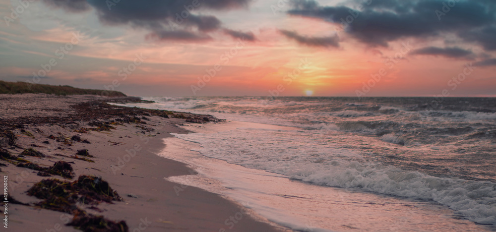 sunrise sunset Denmark coast waves sand seaweed