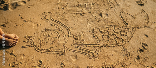 Drawing in the sand
