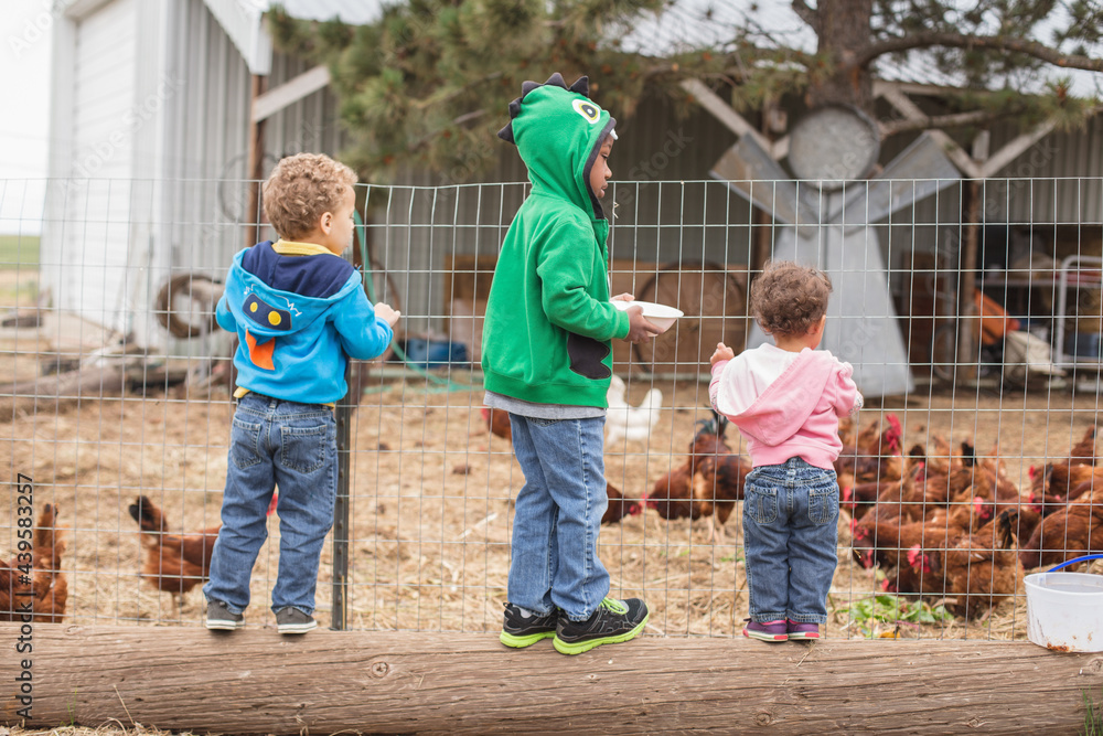 Siblings look into chicken pen
Siblings look into chicken pen
