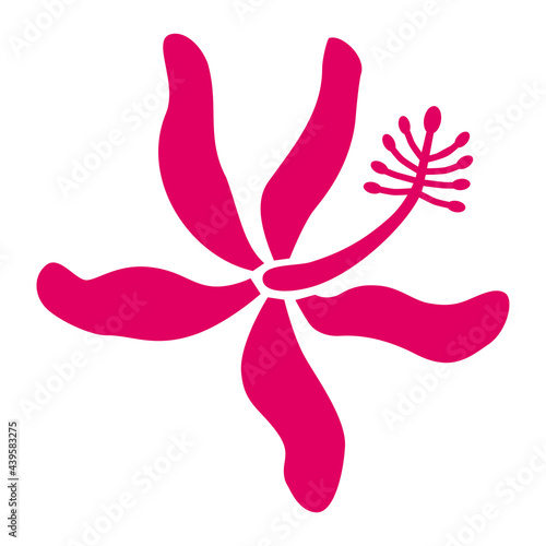 Hibiscus plant flower, red tea, logo, icon