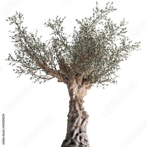 3D illustration of Olive tree in a rusty flowerpot isolated on white background 