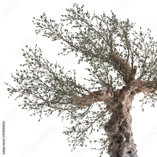Wallpaper Mural 3D illustration of Olive tree in a rusty flowerpot isolated on white background  Torontodigital.ca