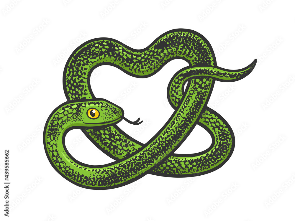 Fototapeta premium snake in form of heart symbol color line art sketch engraving vector illustration. T-shirt apparel print design. Scratch board imitation. Black and white hand drawn image.