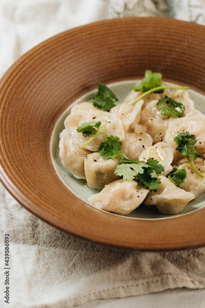 Boiled dumplings with meat filling on the plate. Boiled dumplings with meat filling on the plate.